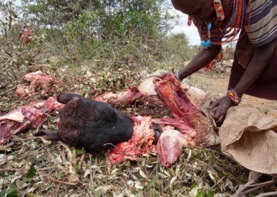 Marcy Mendelson, The Samburu Story | Rendille, a Samburu grandmother, butchers meat in preparation for the great feast.  Every part of the cow is used, shared and no family goes hungry at the Lmuget, graduation ceremony of the moran.  Outside Kisima village, Samburu, Kenya.