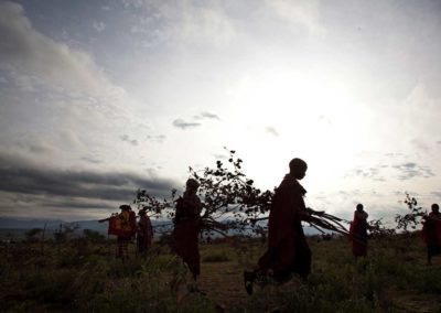 Marcy Mendelson, The Samburu Story | In one synchronized movement, women remove the brush fences that surrounded the ceremonial fire. Outside Kisima, Samburu County, Kenya.  August 22, 2013.